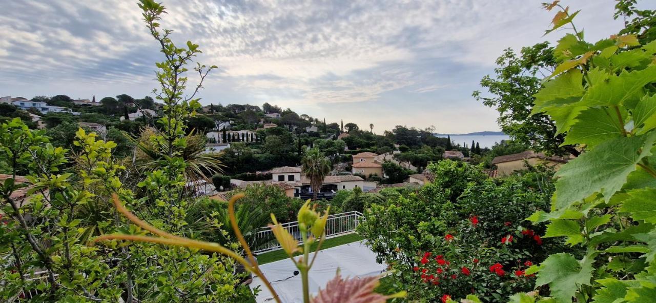 סן-מקסים Villa Augustina מראה חיצוני תמונה
